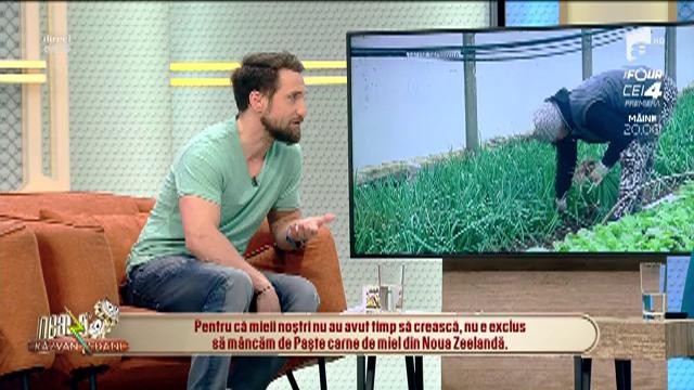 De Paște, avem miei mai slabi și mai scumpi dec&acirc;t &icirc;n anii trecuți