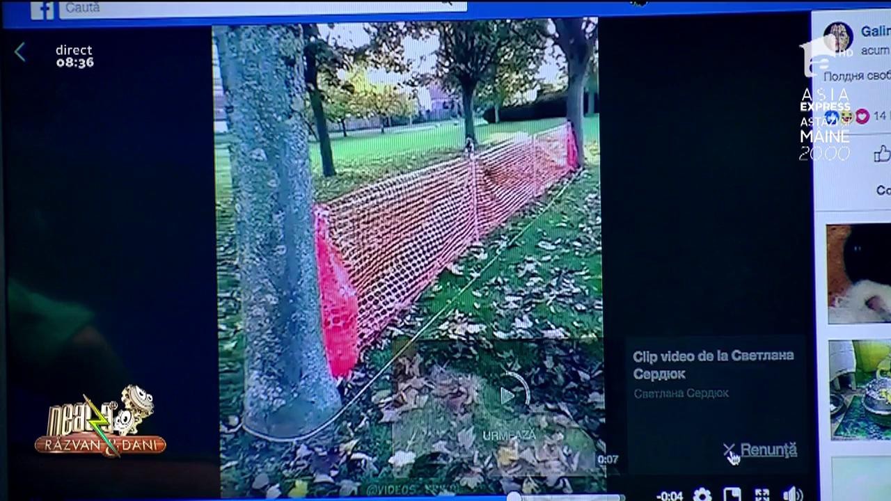 Smiley News. Vrei să ai un c&acirc;ine &icirc;n formă? Aşa trebuie să-l alergi!