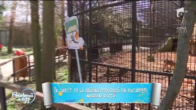 Grădina Zoologică din București, deschisă pentru vizitatori &icirc;n perioada Paștelui