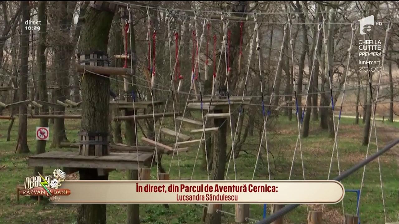 Invitație la distracție. Rom&acirc;nii sunt așteptați &icirc;n pădurea Cernica la o porție de aventură prin copacii