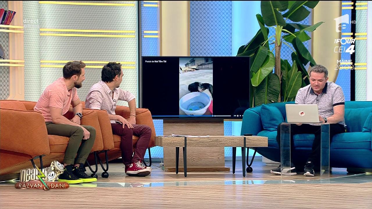 R&acirc;zi cu lacrimi. Cătălin Oprișan, varianta pasăre