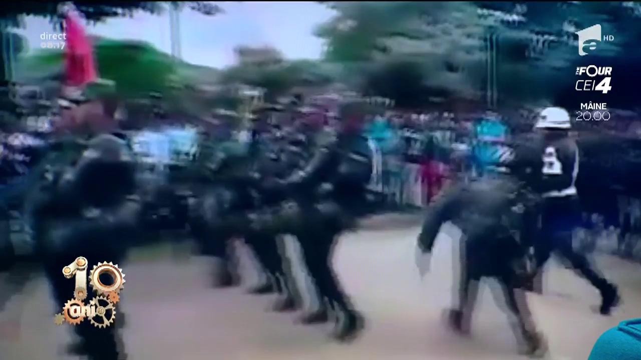 Smiley News. Un c&acirc;ine a stricat o paradă militară