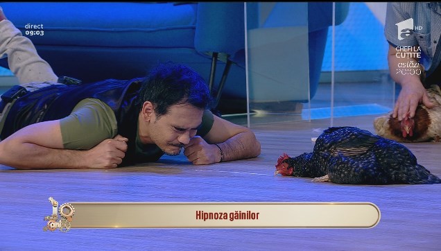 Răzvan are puteri paranormale, a hipnotizat o găină!: &rdquo;Liniște, că am o comunicare...&rdquo;
