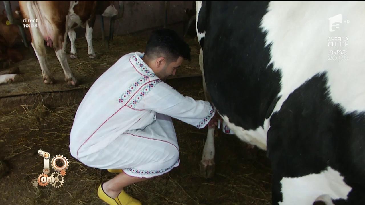 De Ziua Muncii, Nadir a ajuns la fermă: &rdquo;M-am g&acirc;ndit să mă apuc de muls calul!&rdquo;