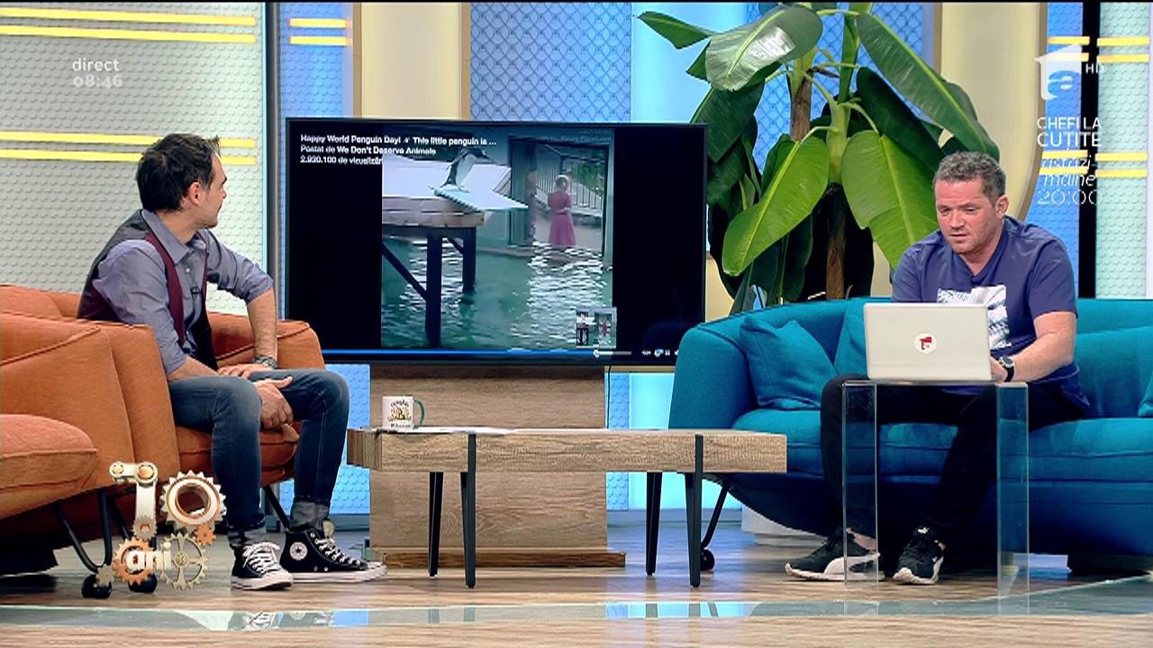 Smiley News. Cel mai fricos pinguin din lume! &Icirc;i este frică de apă!