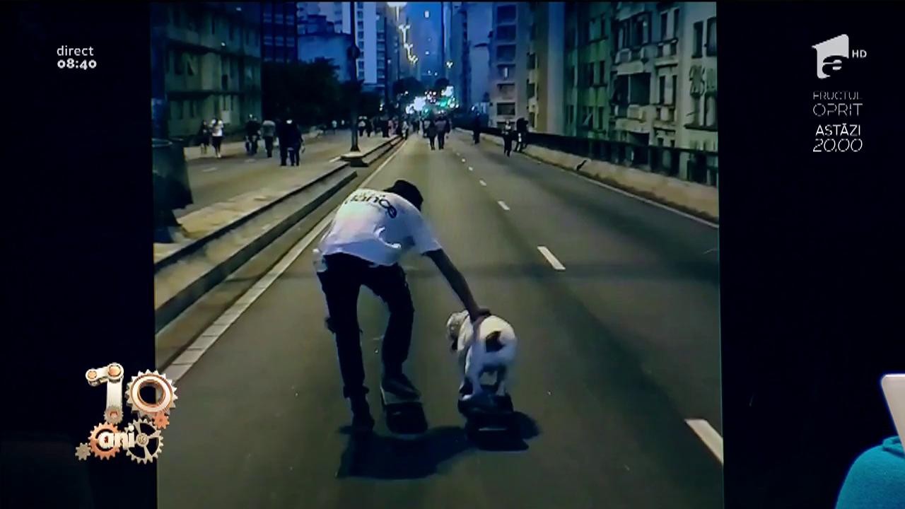Smiley News. C&acirc;inele care merge singur pe skateboard