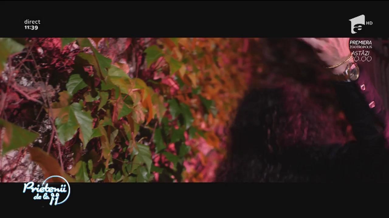 Glance feat. Elena Ionescu - &rdquo;Ploaia și focul&rdquo;