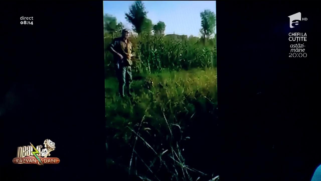 Smiley news! V&acirc;nătorul v&acirc;nat și bătut de un fazan!