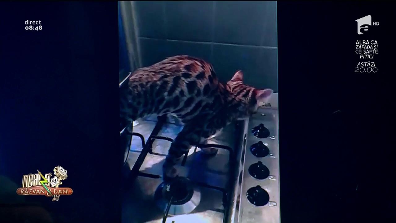 Smiley News! Ce se &icirc;nt&acirc;mplă &icirc;n oala pe care tocmai vrei să o pui pe foc