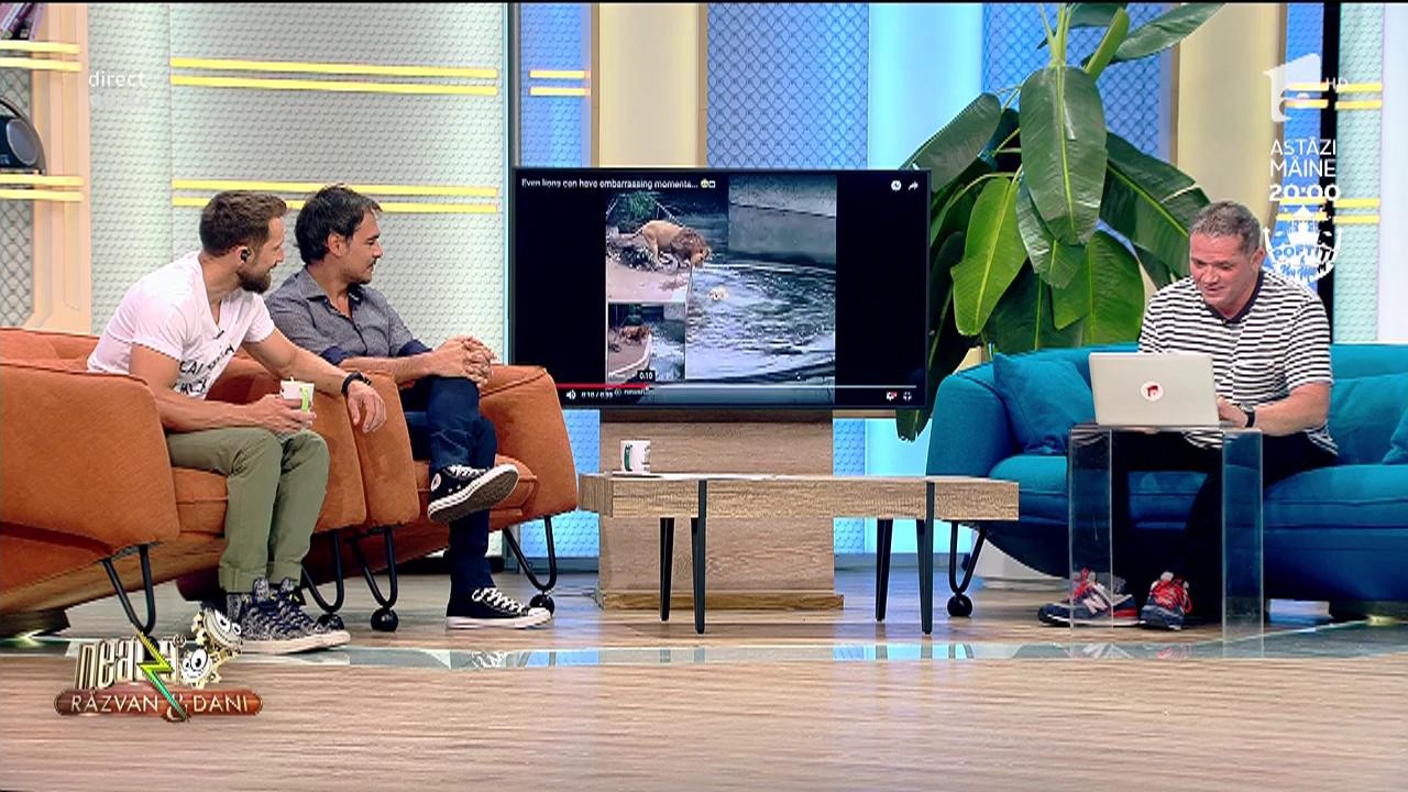 Smiley News! Leii și momentele st&acirc;njenitoare de la Grădina Zoologică