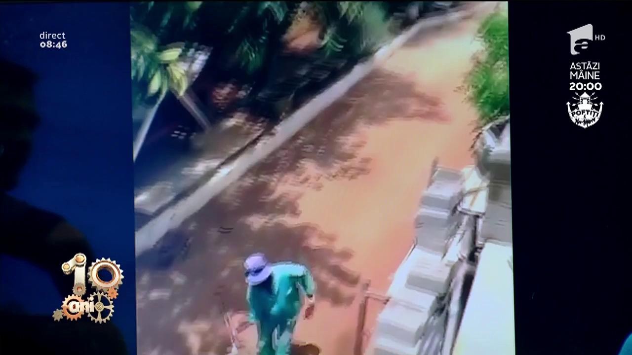 Smiley News! Cum să construiești o casă &icirc;ntr-o zi