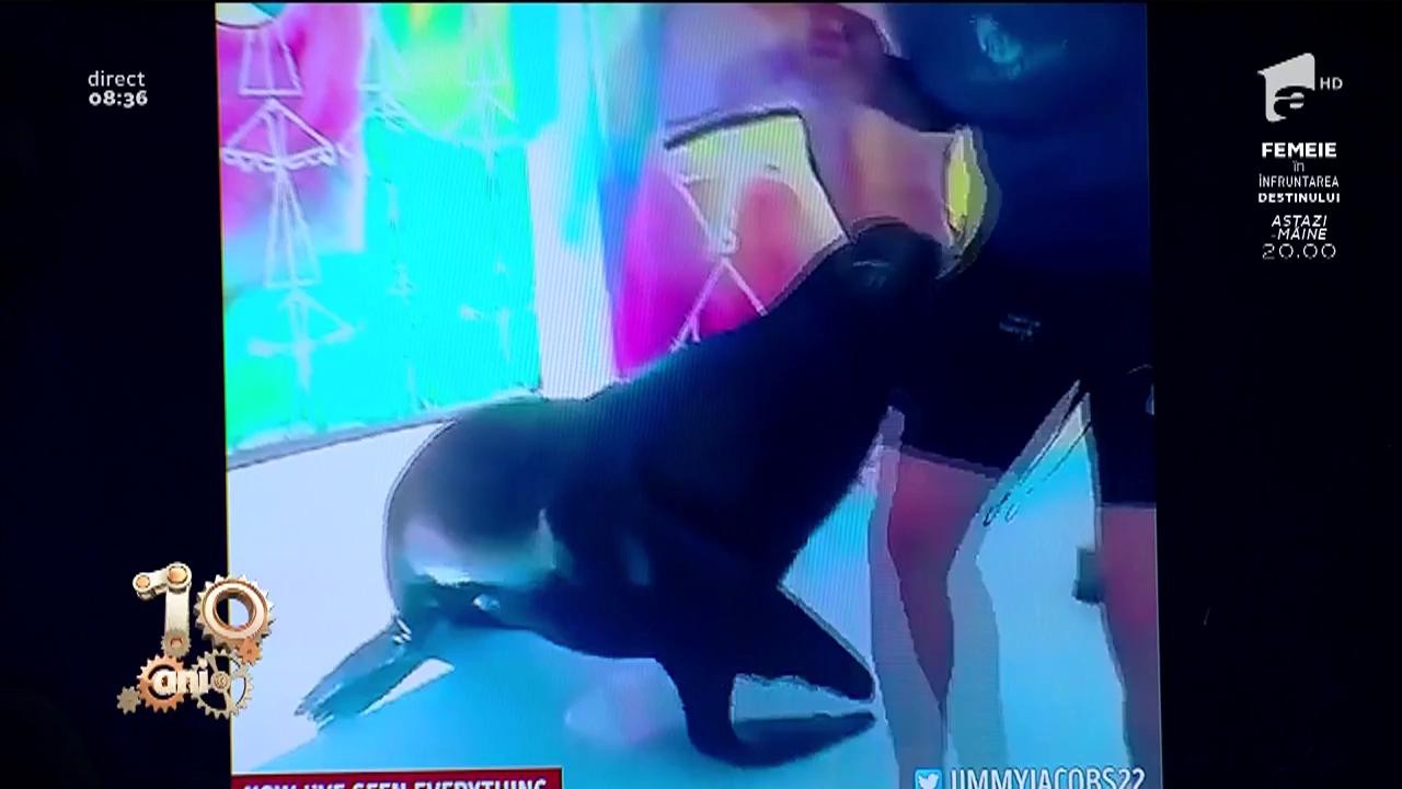 Smiley News! Instructorul de la delfinariu care a ațipit &icirc;n timpul serviciului