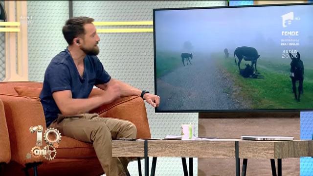 Toma Coconea și Adrian Miclea s-au &icirc;ntors de la X Pyr