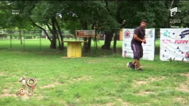 Clubul C&acirc;inilor Utilitari din București, o adevărată echipă de Căutare și Salvare cu c&acirc;ini special antrenați