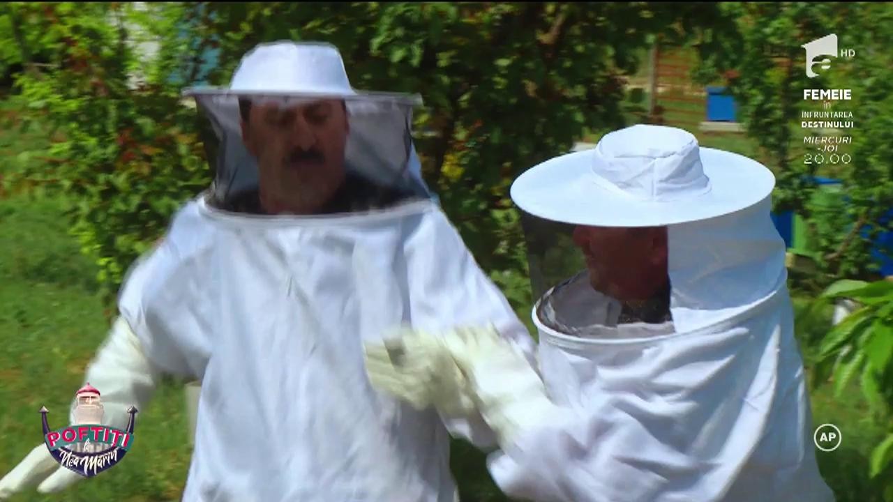 Au, pielea! Țociu și Sânzi, apicultori de voie, de nevoie: "Cu lampadarele alea în cap, parcă eram cosmonauți!"