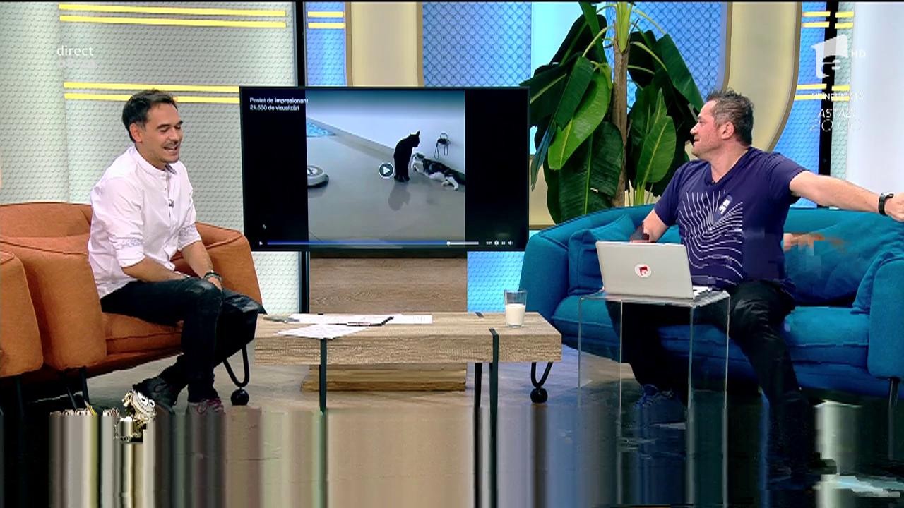 Smiley News! O pisică neagră deranjată de un aspirator