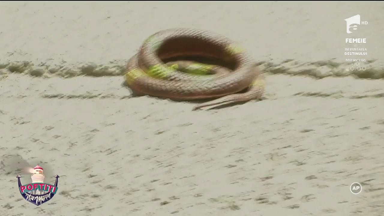 Angie s-a răzbunat pe Nea Marin și l-a udat din cap p&acirc;nă &icirc;n picioare cu apă