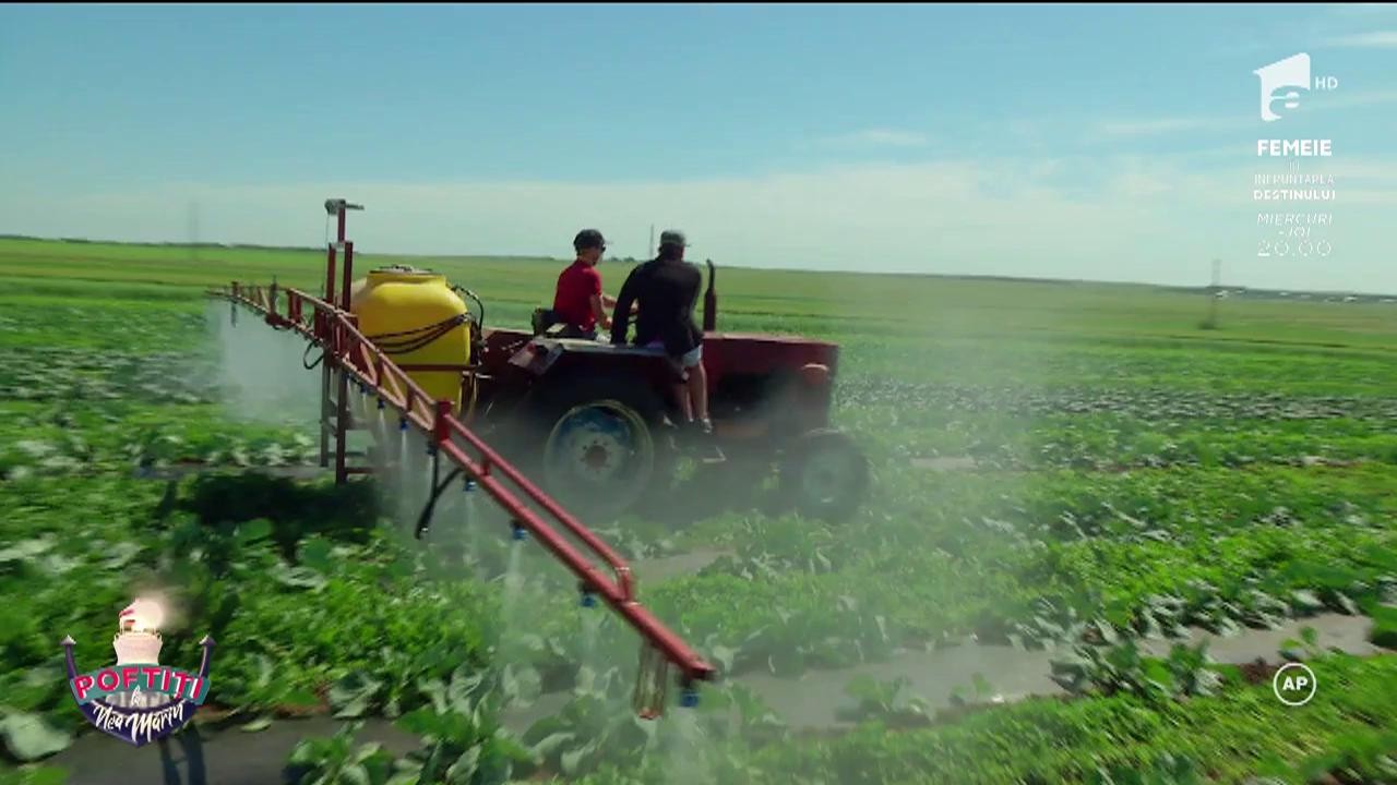Șerban și Coco, cu tractorul pe câmp: „Vrem să facem o lume mai bună”