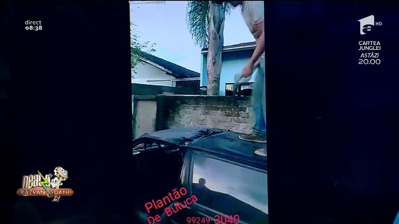 Smiley News! Un brazilian taie mașina &icirc;n două cu toporul