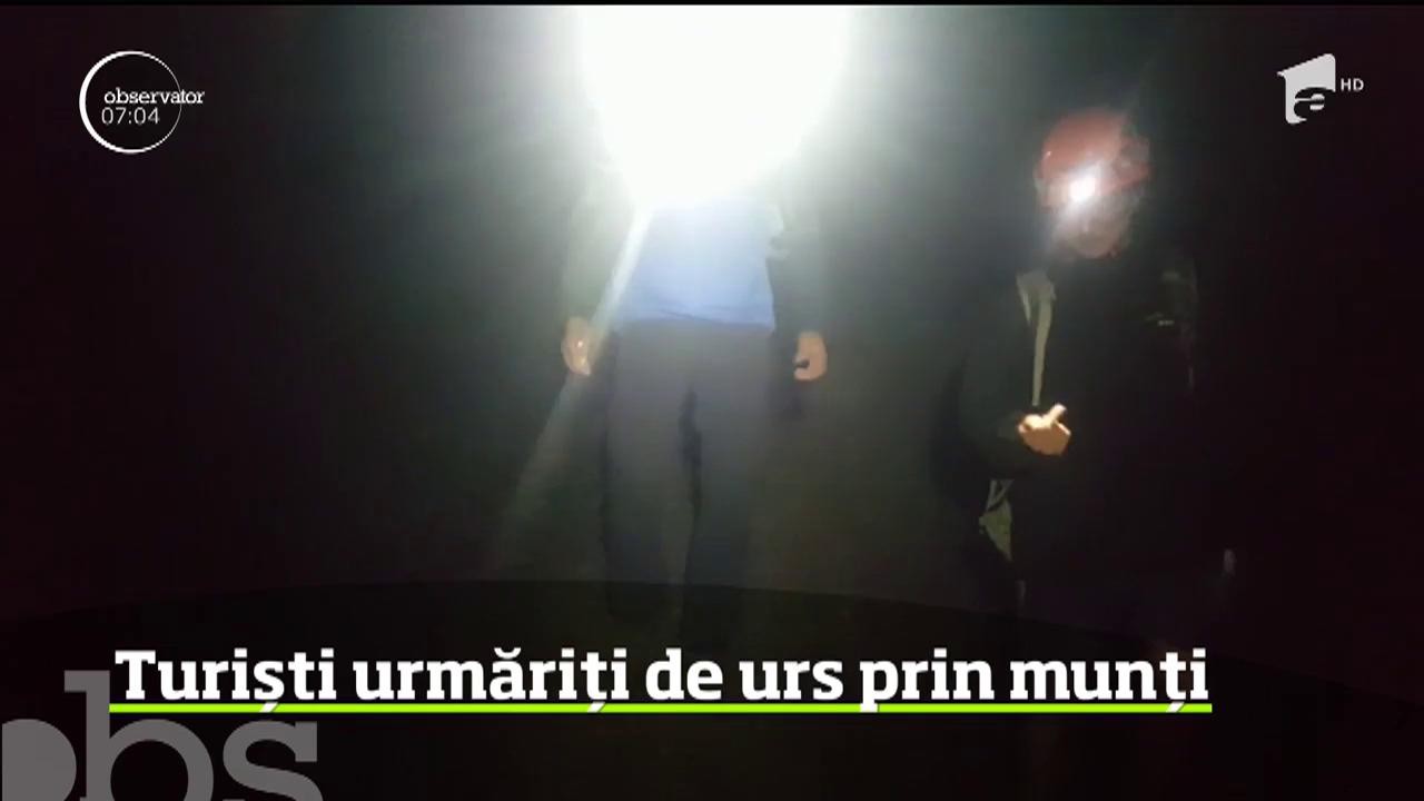 Turiști urmăriți de urs prin munți, recuperați &icirc;n siguranță
