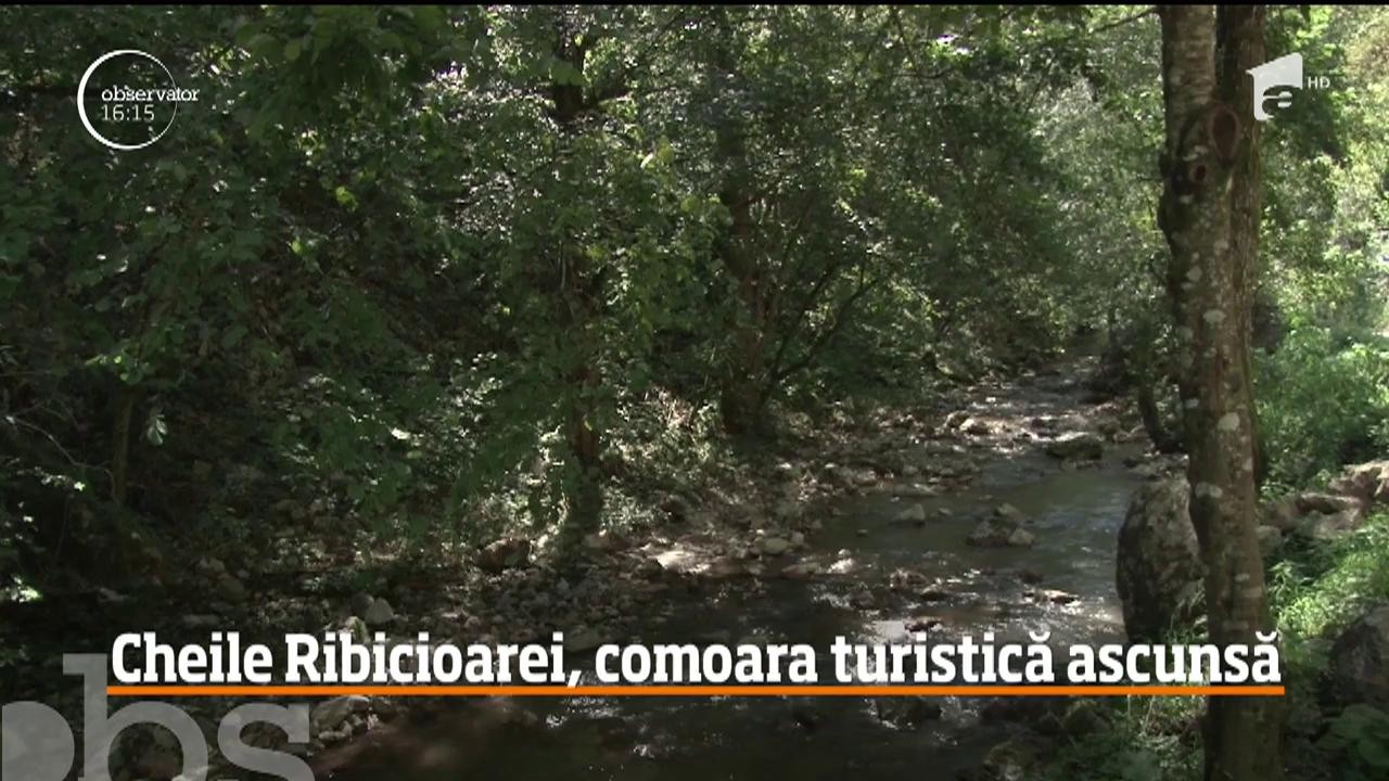 Cheile Ribicioarei, comoara turistică ascunsă &icirc;n Rom&acirc;nia