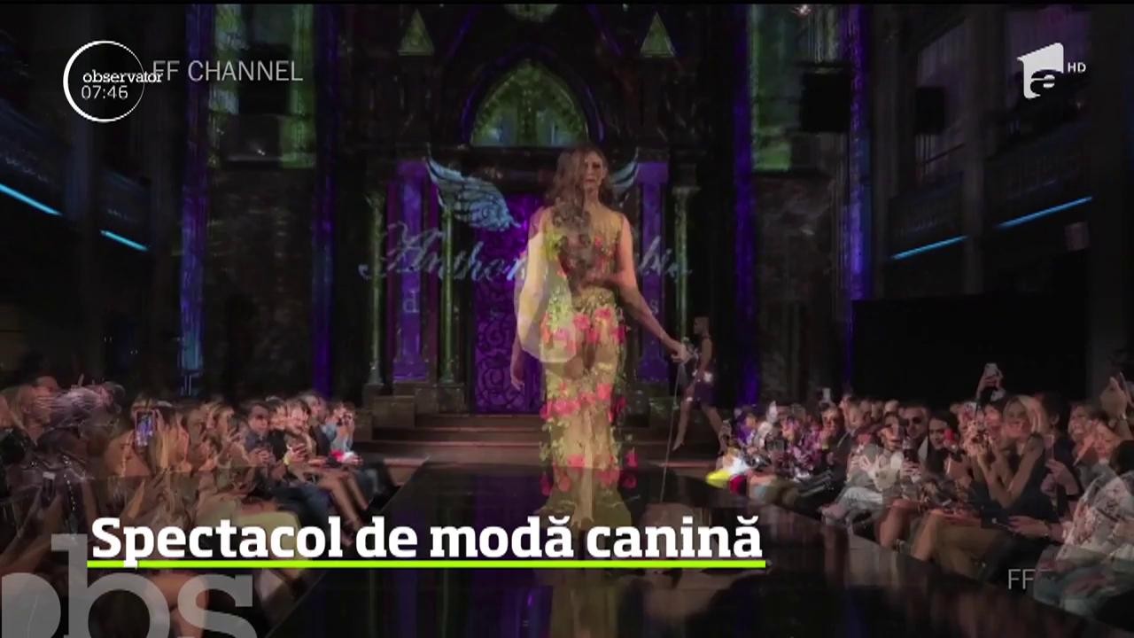 C&acirc;inii au fost şi ei &icirc;n centrul atenţiei la Săptăm&acirc;na Modei de la New York