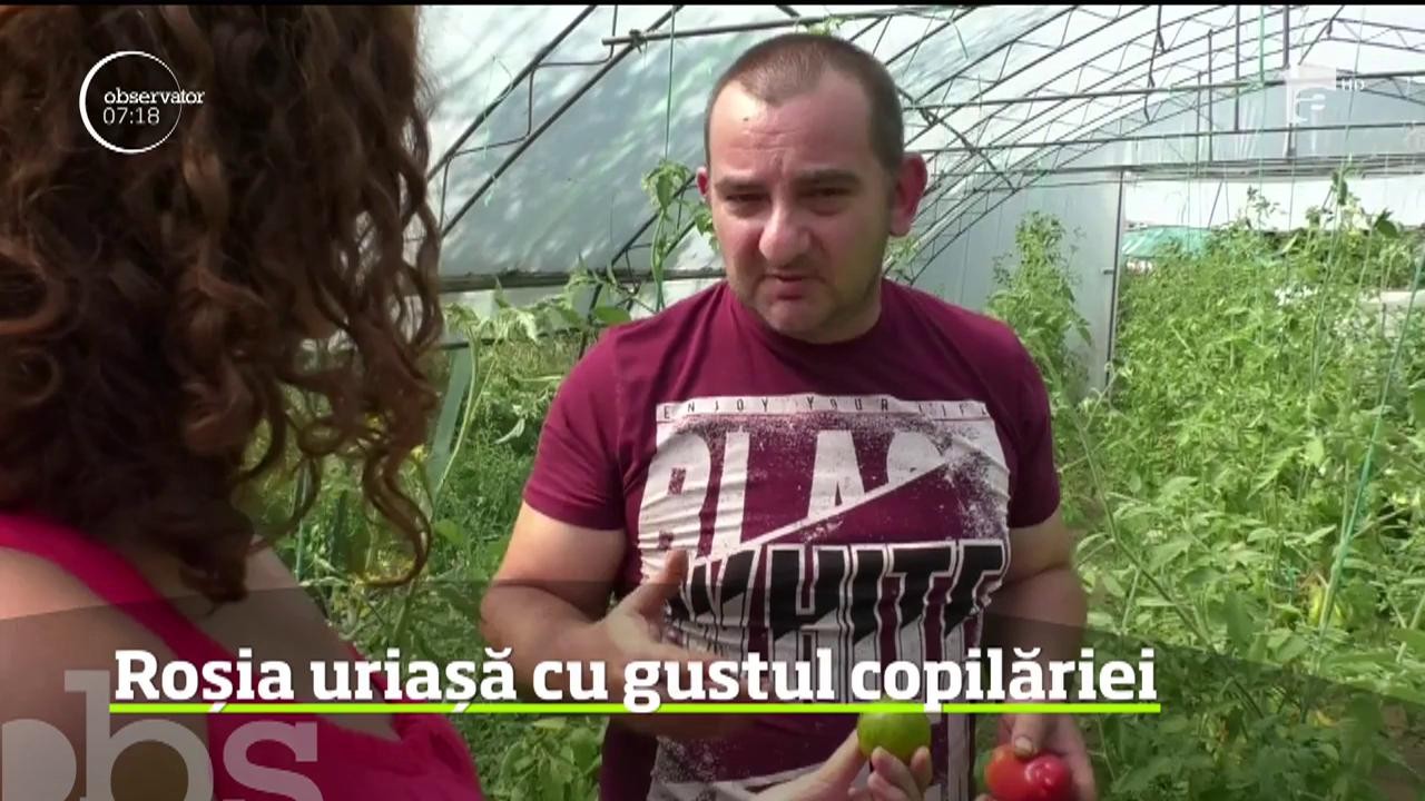 Rom&acirc;nii au prins gustul preparatelor bio, iar restaurantele s-au adaptat şi ele