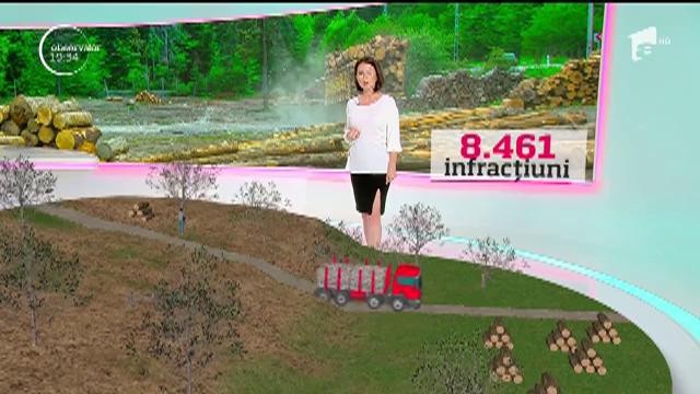 Tăierile ilegale distrug pădurile rom&acirc;neşti. Un nou raport dezastruos a fost făcut public. Topul judeţelor &icirc;n care aurul verde ia drumul pieţei negre