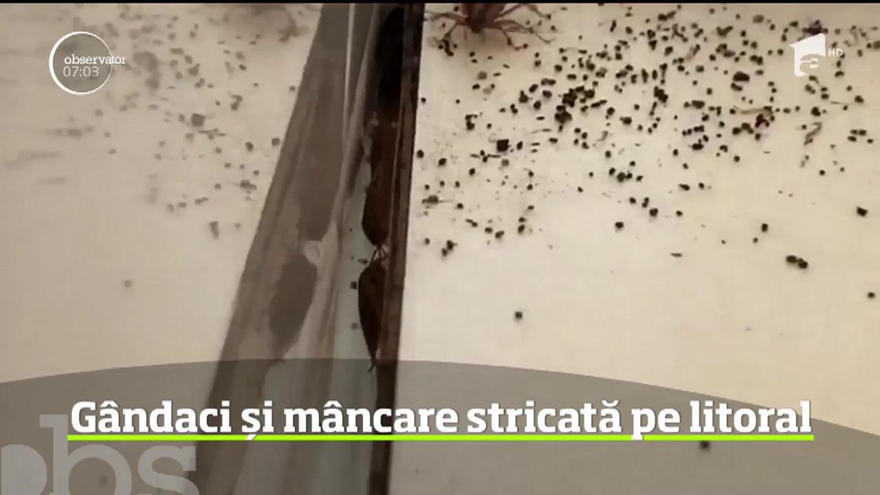 Imagini greu de digerat &icirc;n două localuri din Constanţa