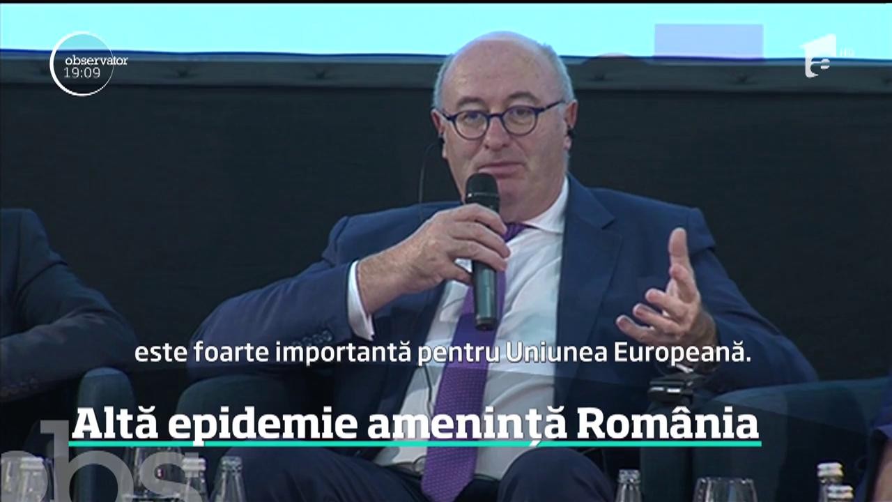 Pesta porcină a &icirc;nvins p&acirc;nă şi SRI. Serviciul a făcut peste 130 de informări despre boala care ameninţa Rom&acirc;nia