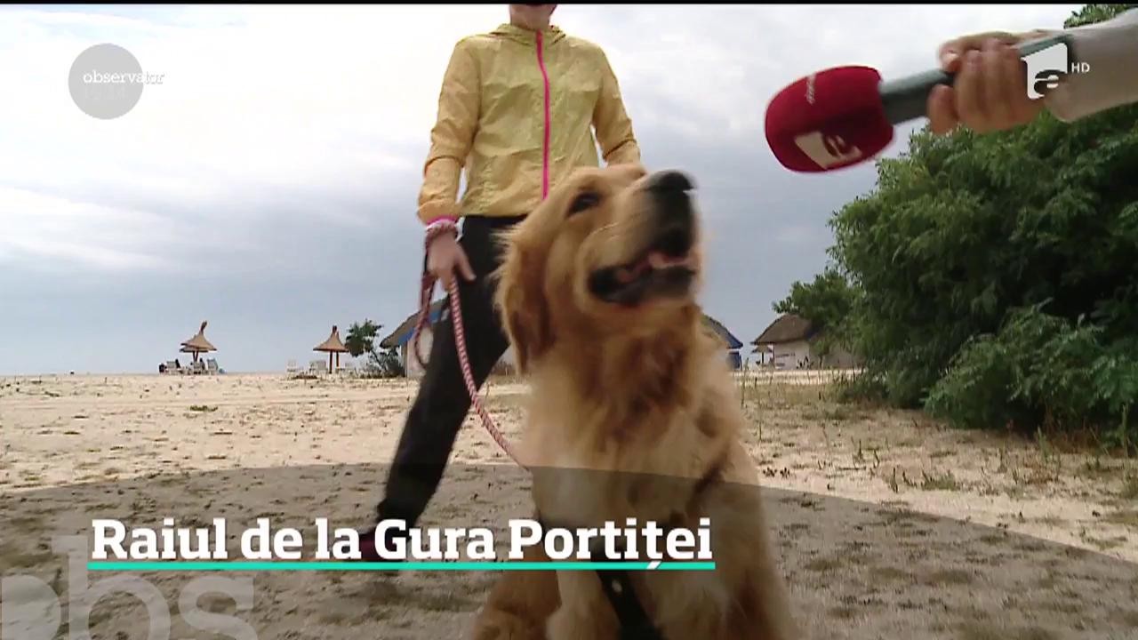 Gura Portiţei, un colţ de rai aşezat &icirc;ntre Dunăre şi mare