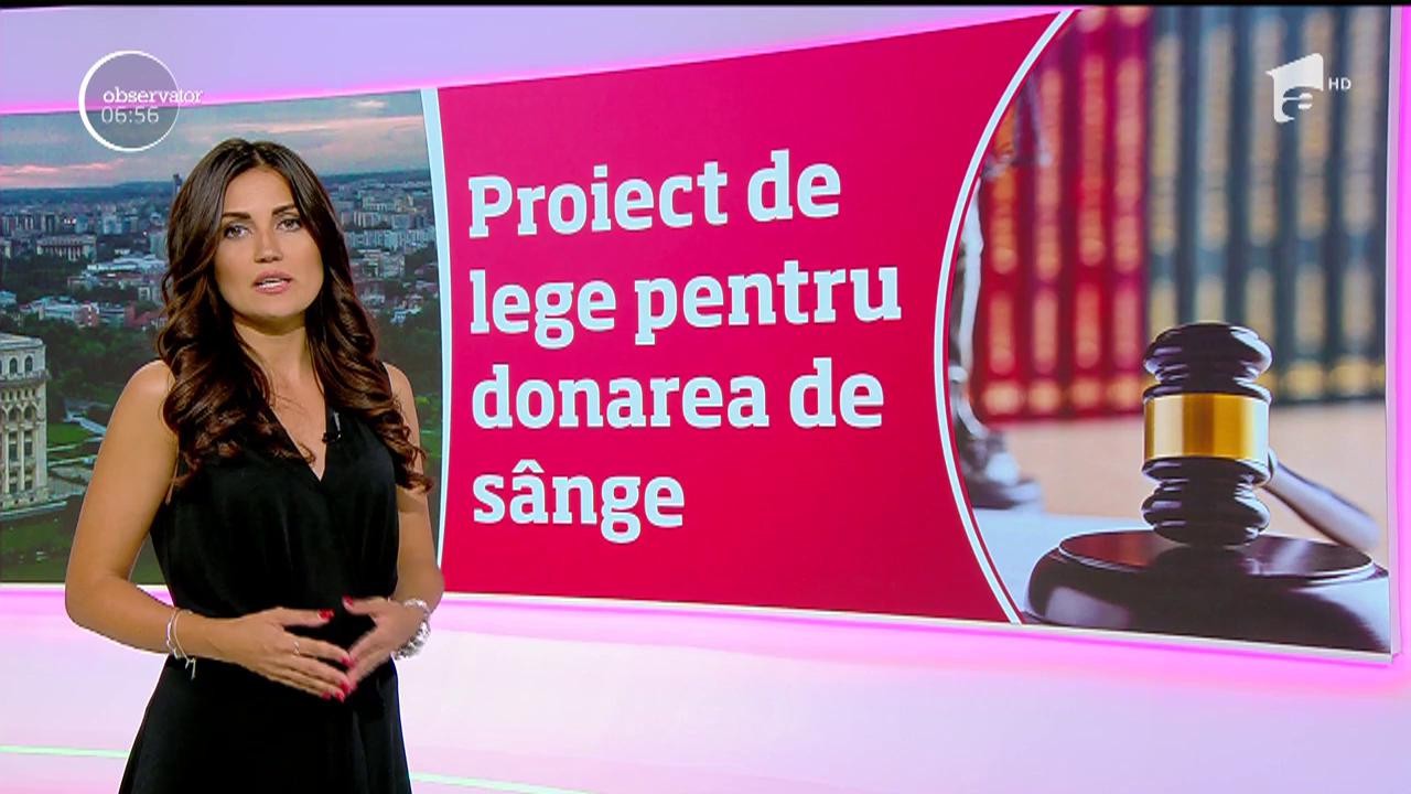 Aleşii s-au &icirc;ntors la muncă cu forţe proaspete şi cu proiecte trăsnite