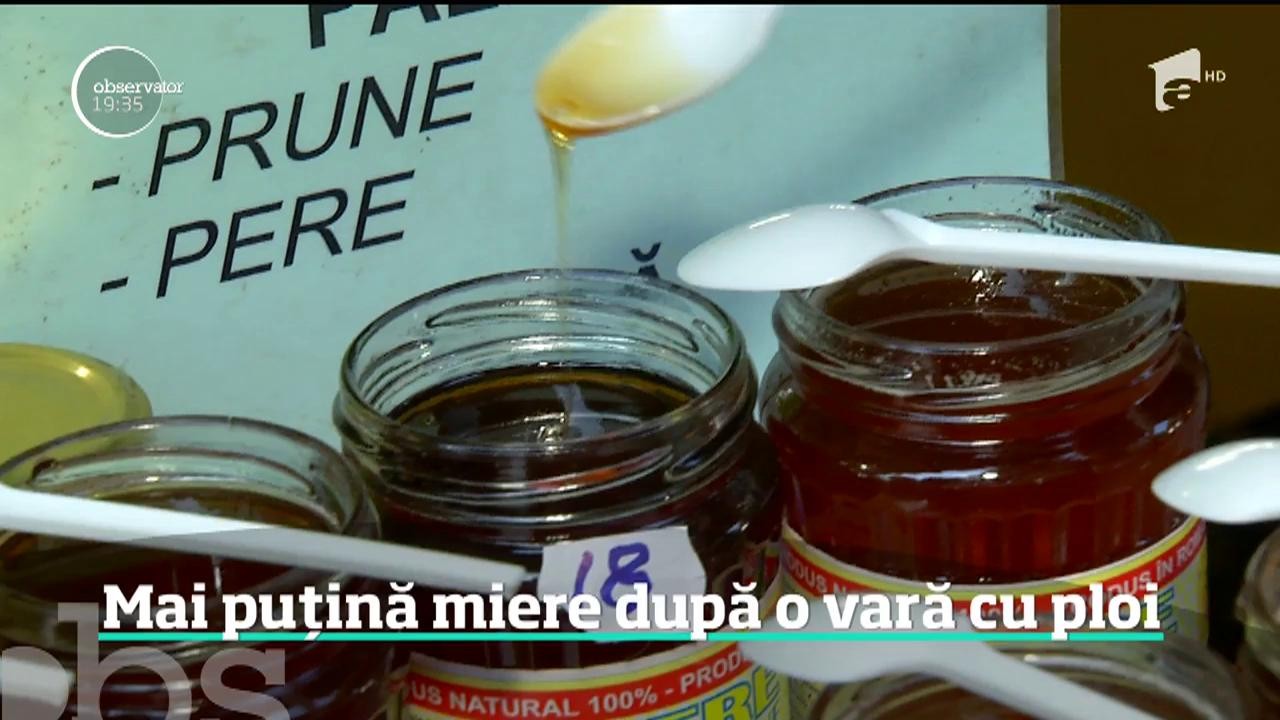 Vremea capricioasă din acest an a afectat producţia de miere! Avea cu 30% mai puţină dec&acirc;t &icirc;n alţi ani