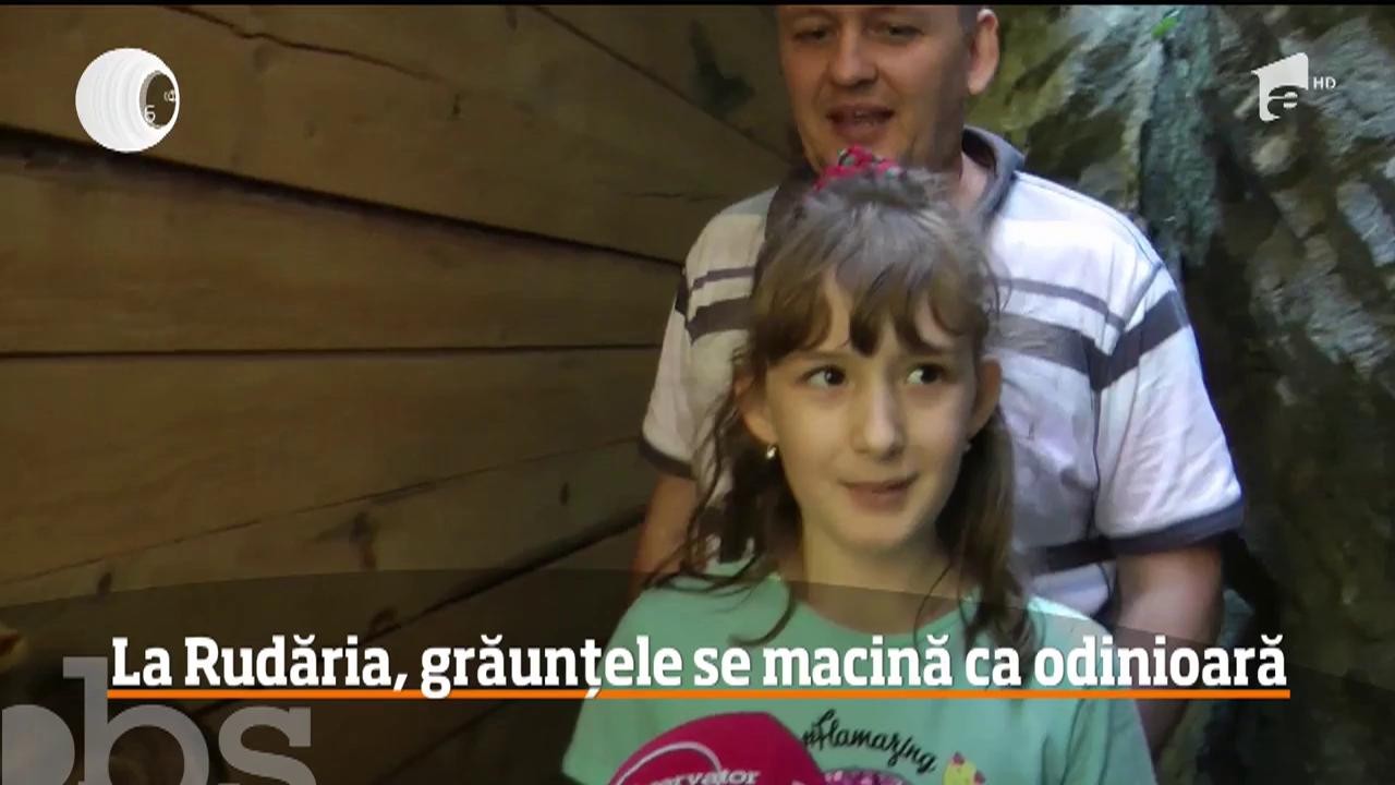 Tăr&acirc;mul morilor de apă din judeţul Caraş Severin