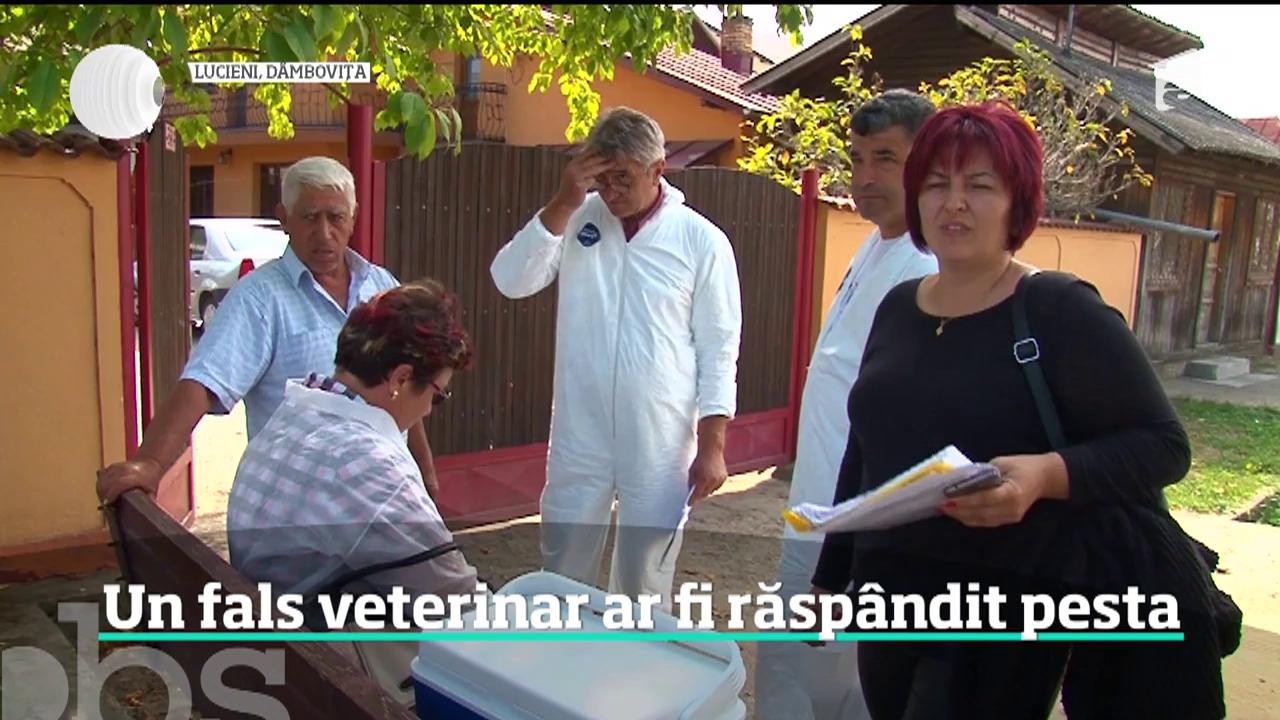 &Icirc;n criza pestei porcine, un fals medic veterinar a &icirc;ncercat să vindece animalele bolnave, dar a reuşit doar să răsp&acirc;ndească virusul