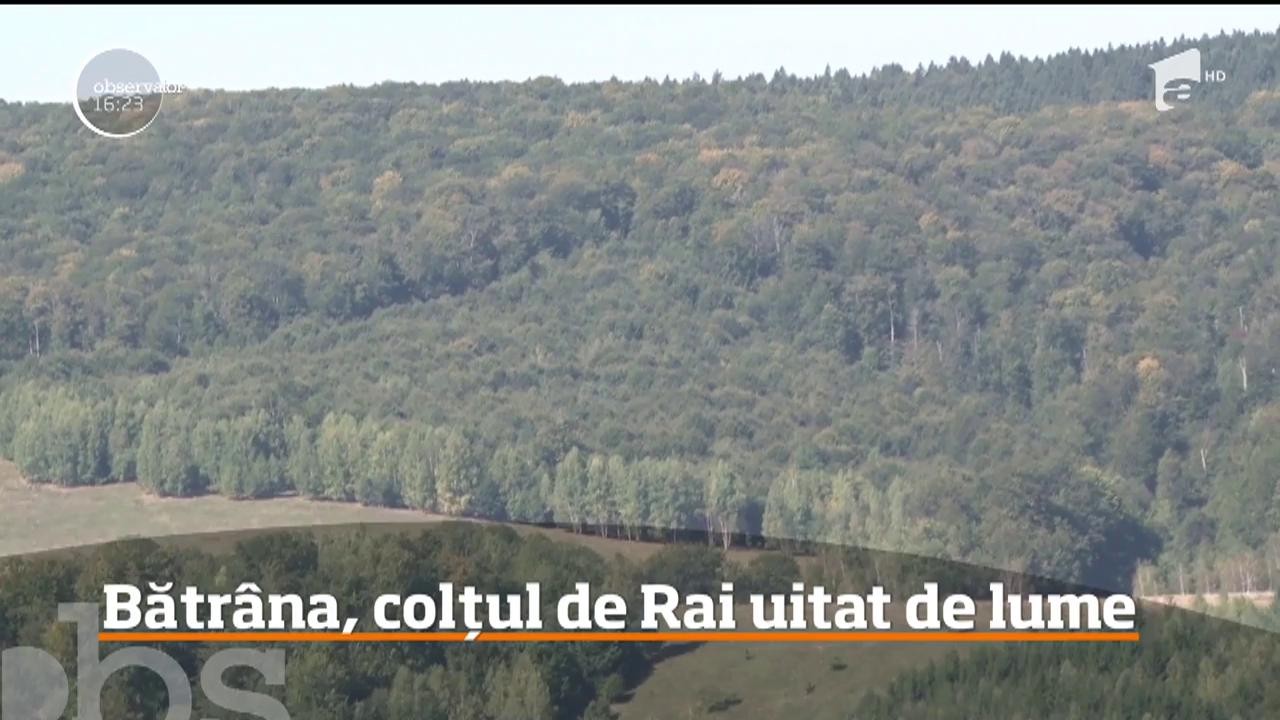 "Codrii Seculari Bătr&acirc;na", o rezervaţie naturală de interes naţional