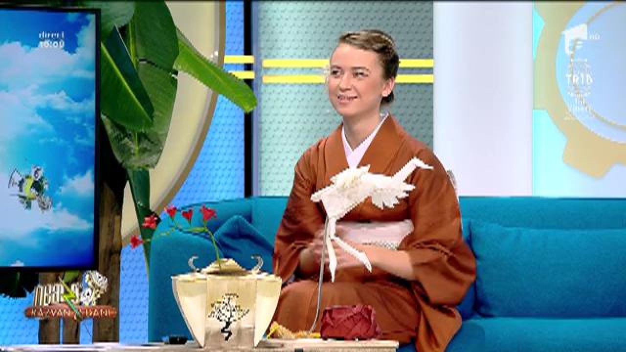 Artă din h&acirc;rtie! Alexandra Gabriela Baranyi, meșter de origami: &rdquo;Acest cocor l-am făcut dintr-un metru și jumătate de coală&rdquo;