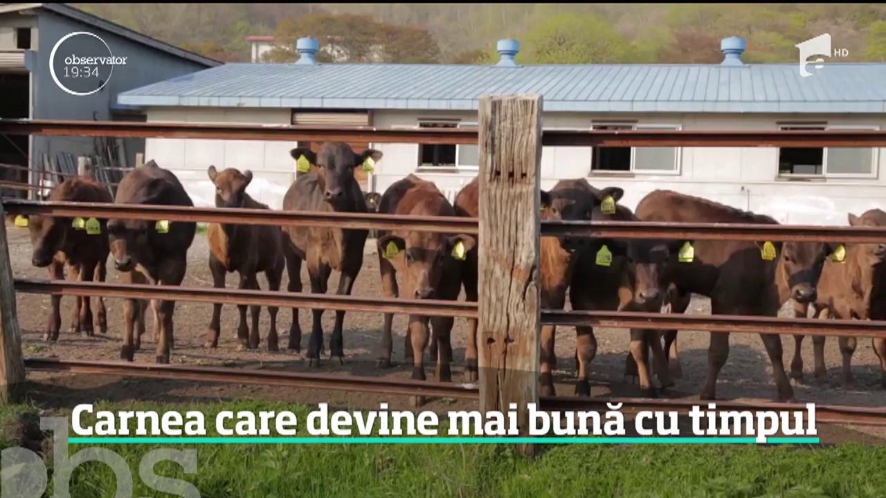 &Icirc;n plină criză a pestei porcine, porcul pierde teren &icirc;n faţa vitei, &icirc;n farfuriile rom&acirc;nilor!