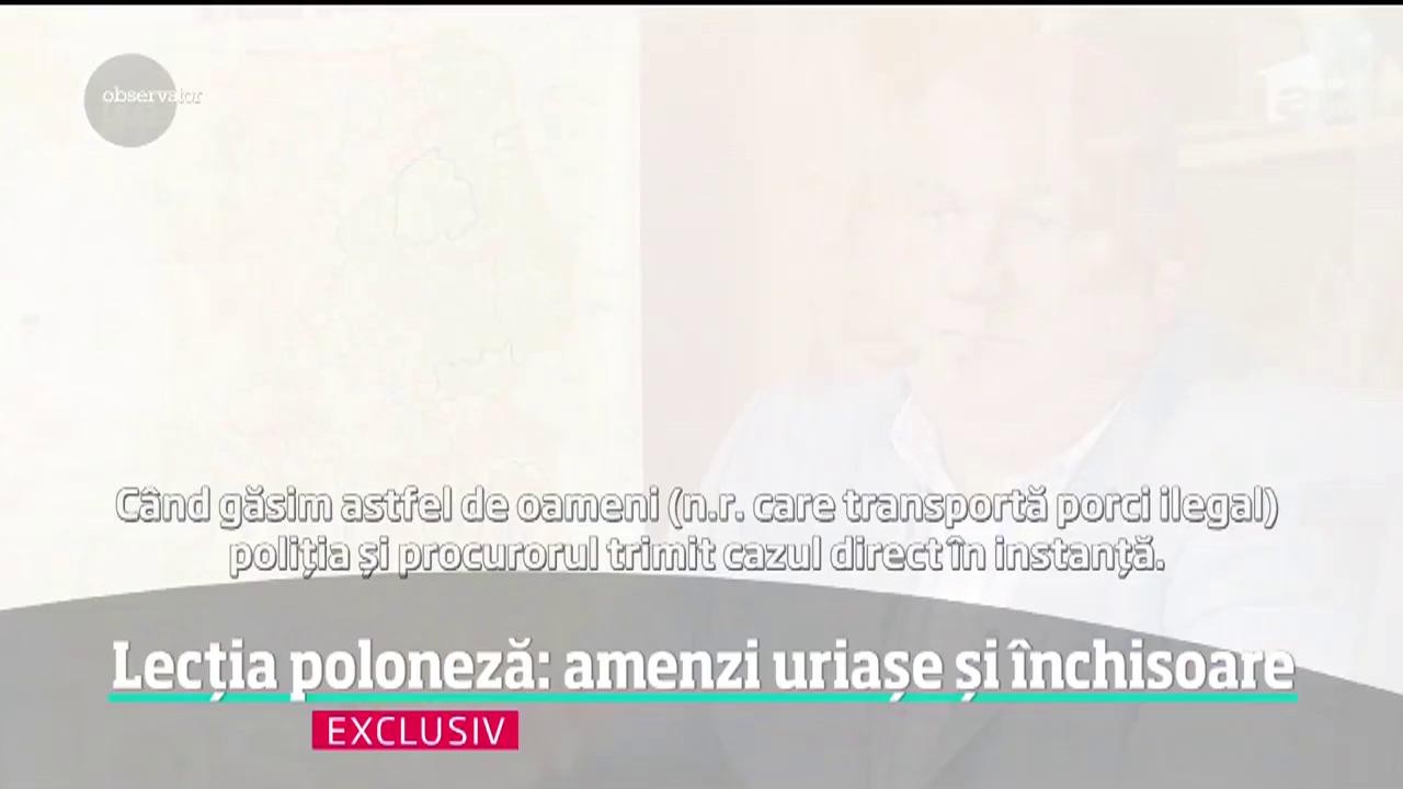 Avertismentul specialiştilor polonezi &icirc;n privinţa răsp&acirc;ndirii pestei porcine