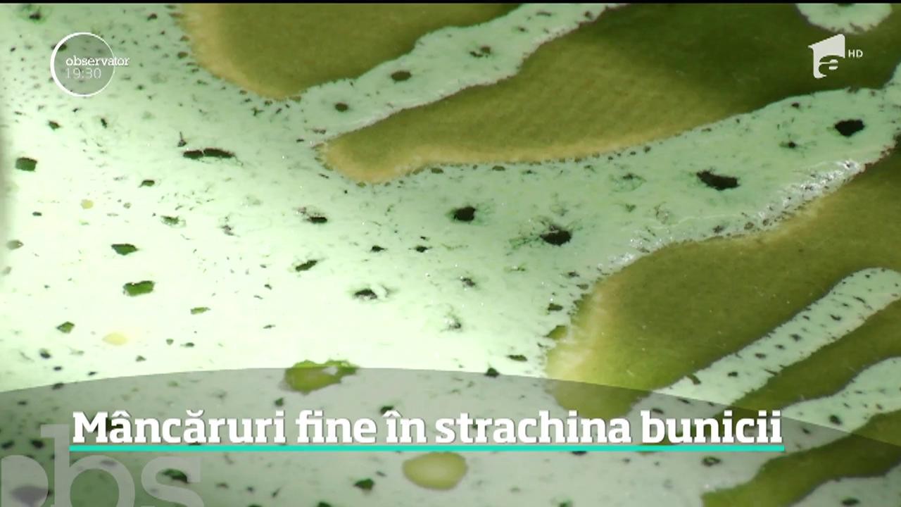 M&acirc;ncăruri fine &icirc;n strachina bunicii