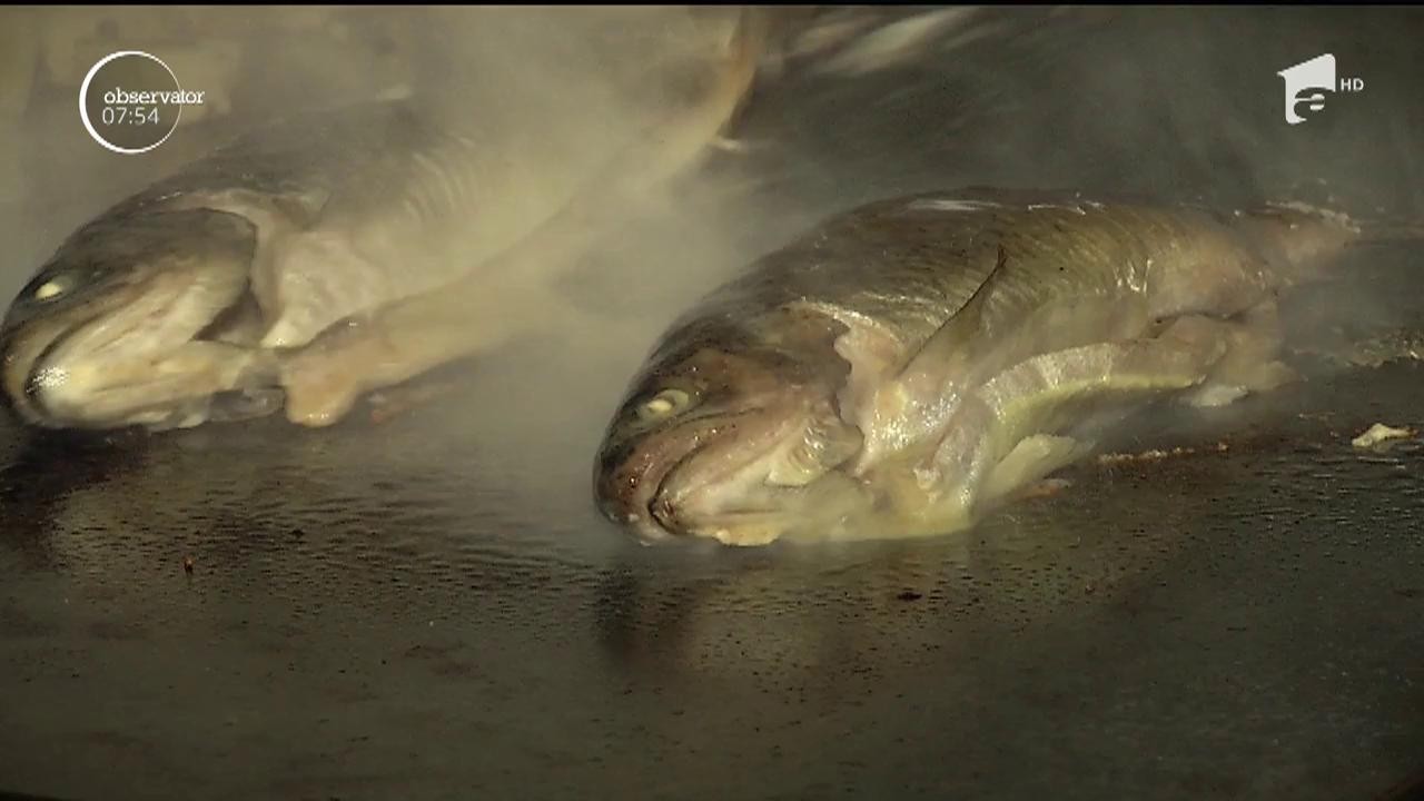 Rom&acirc;nii sunt mari consumatori de macrou şi păstrăv