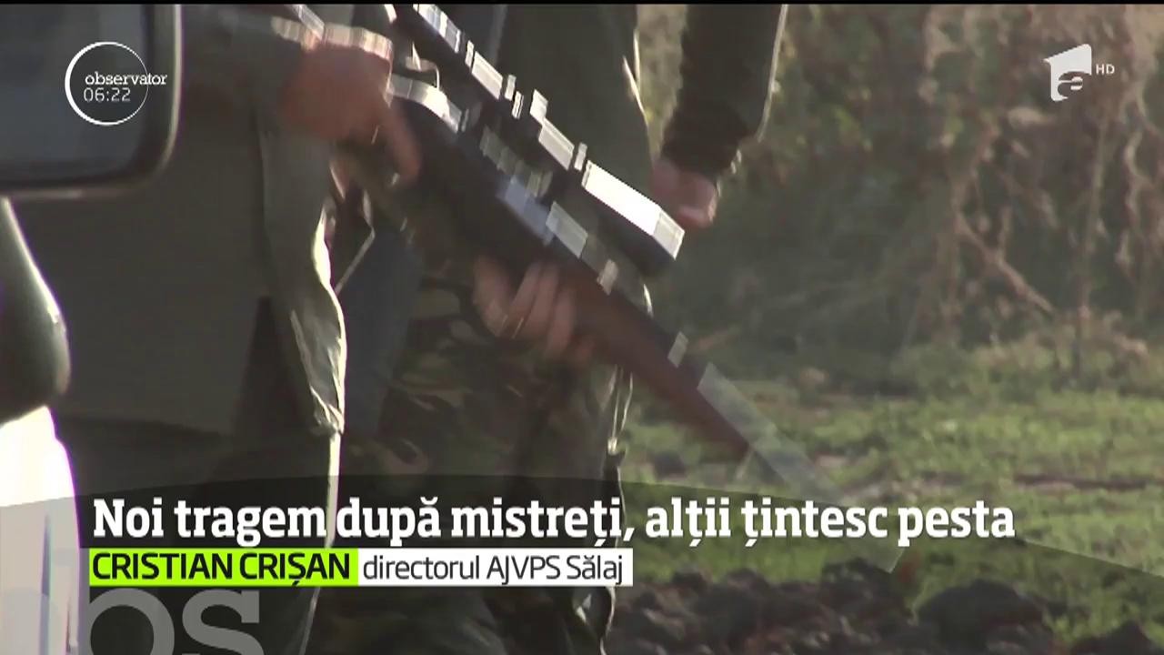 Polonia a găsit o soluţie care să nu pună &icirc;n pericol populaţia sau mediul. Iată &icirc;ncă o lecţie poloneză despre combaterea pestei porcine