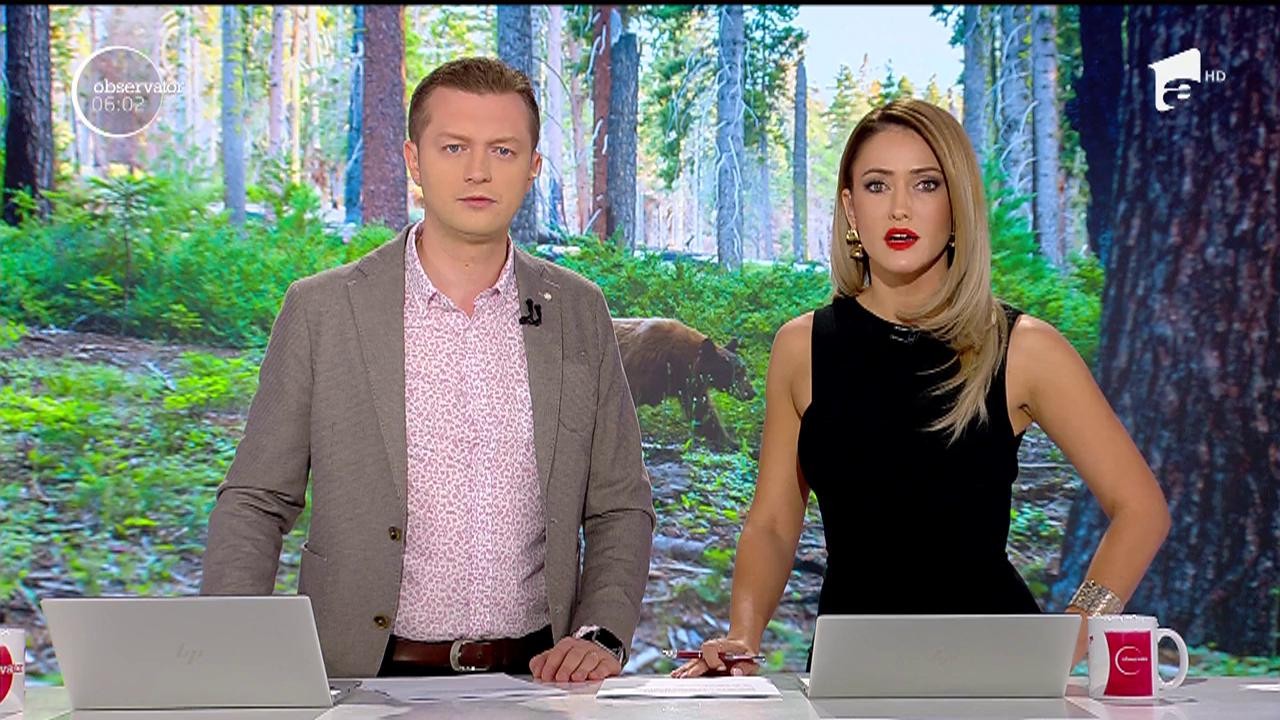 Atacurile urşilor se ţin lanţ! Un bărbat a fost muşcat de o ursoaică flăm&acirc;ndă, &icirc;n apropiere de Miercurea Ciuc