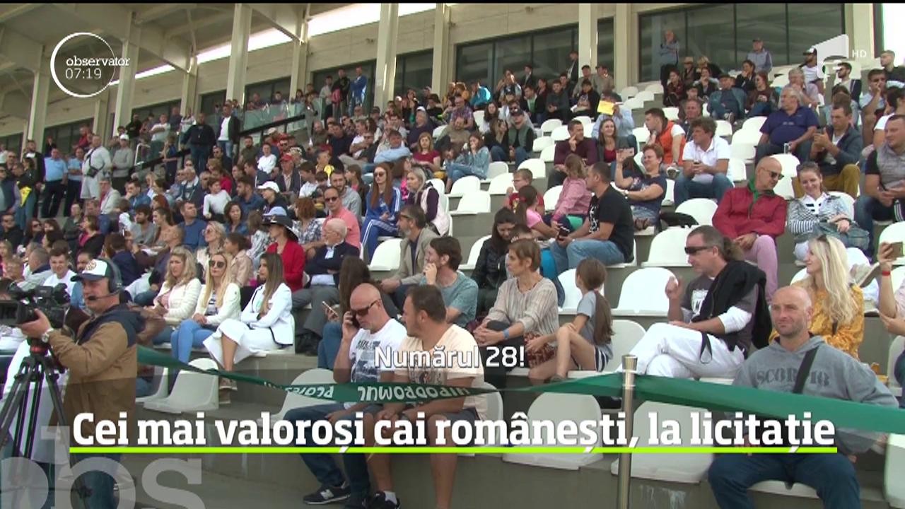 Hipodromul din Ploieşti a răsunat din nou a tropot de copite, &icirc;nsă nu pentru o cursă de cai, ci pentru o licitaţie