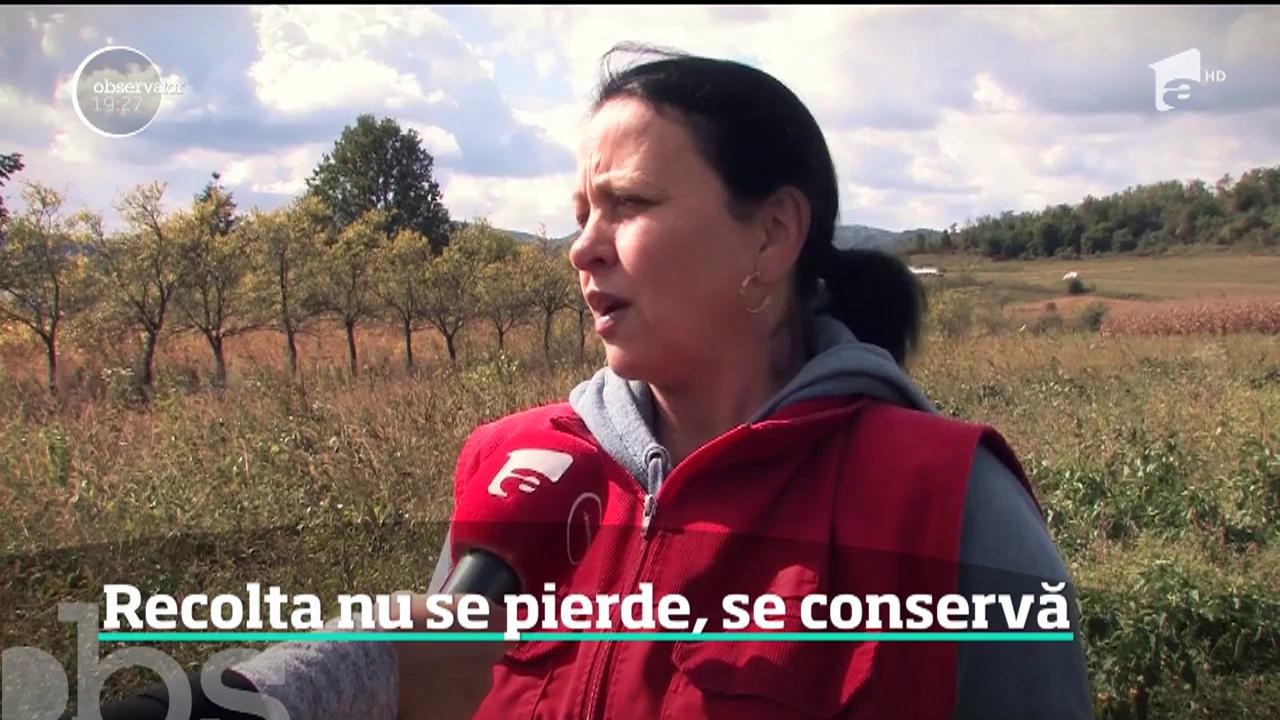 Trei tineri din Bihor au pus pe roate o afacere. Procesează, apoi prepară legume şi fructe bio