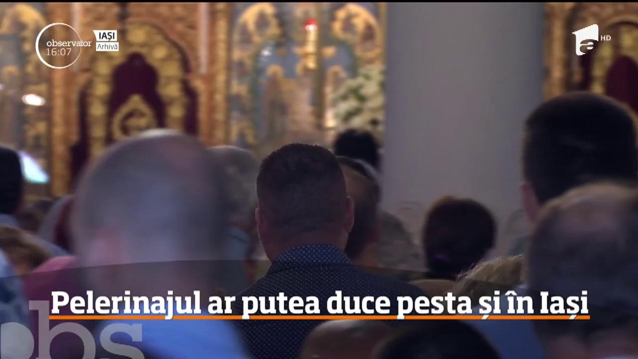 Pelerinajul anual la moaştele Sfintei Parascheva ar putea duce pesta porcină și la Iași