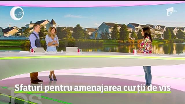 Cum ne &icirc;ngrijim grădina toamna