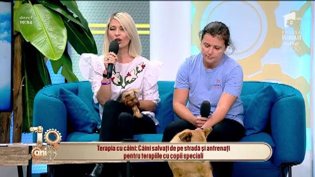 Terapia cu c&acirc;ini, cea mai bună pentru copiii cu dizabilități