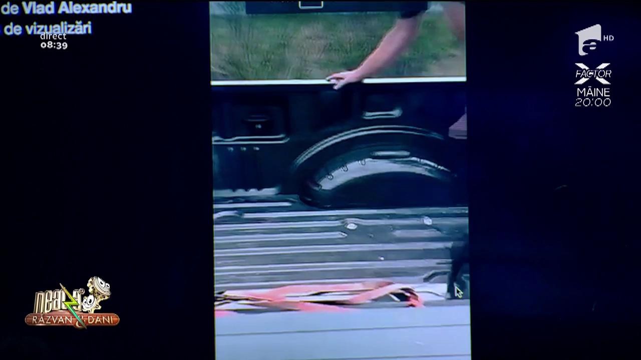 Smiley News! Cel mai neprietenos porcușor