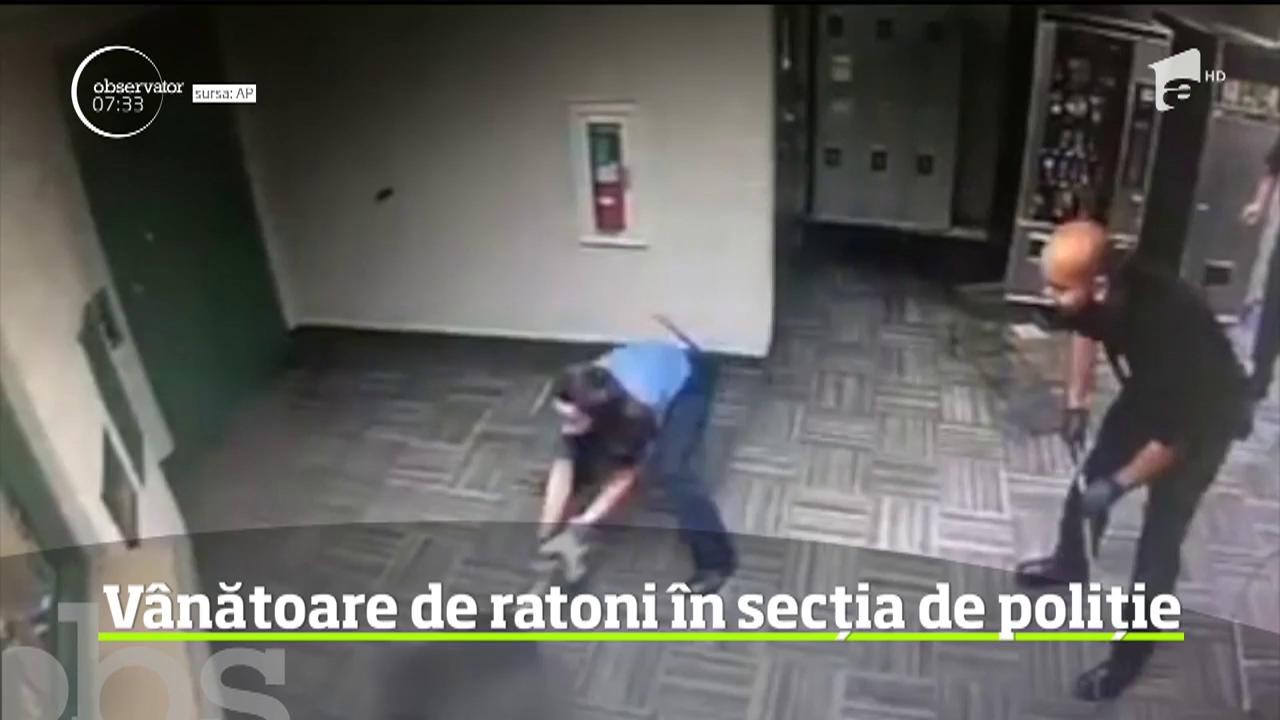 &Icirc;ntr-un orăşel din Texas, poliţiştii au avut de-a face cu doi suspecţi foarte abili apăruţi, pe neaşteptate, &icirc;n sediul lor